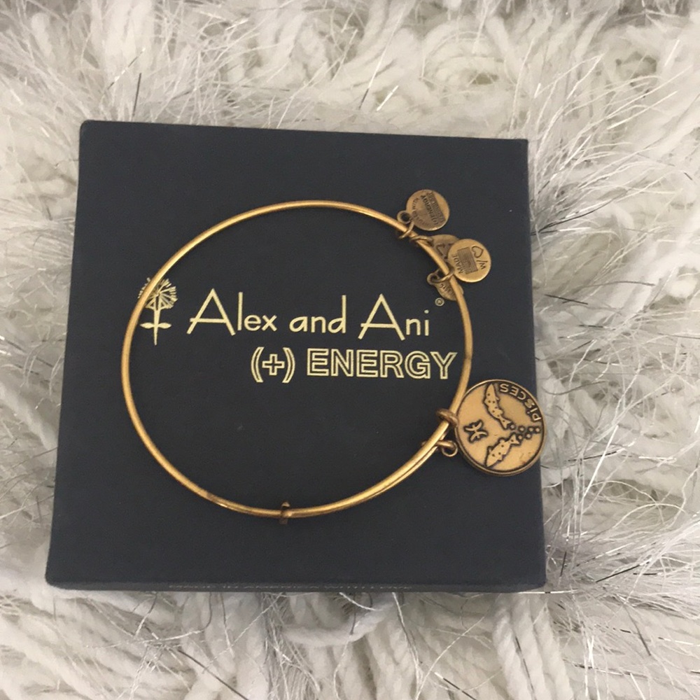 💥✨Alex & Ani Bangle✨💥
